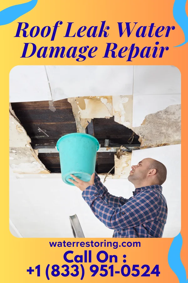 Roof Leak Water Damage Repair in Dana Point, CA